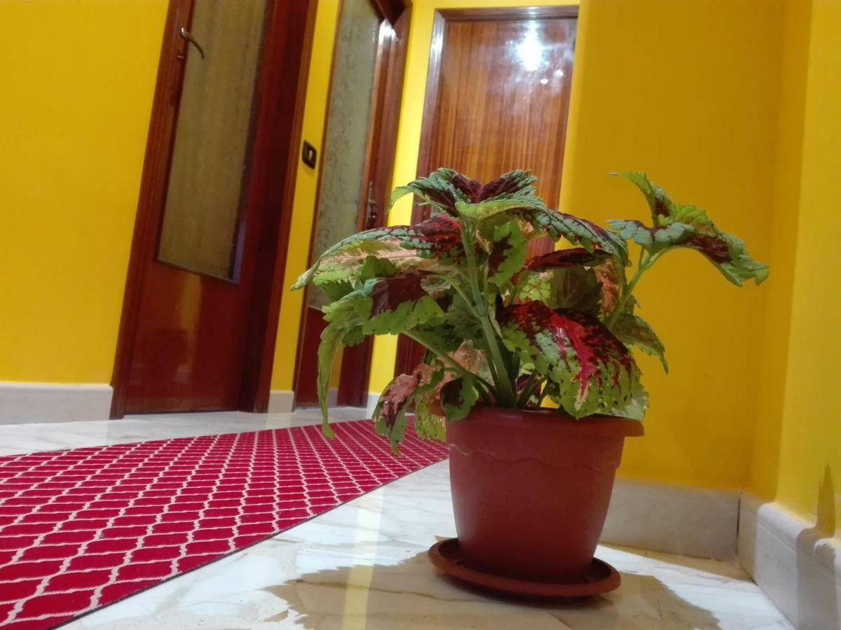 Bed and Breakfast Cataniaedintorni Екстер'єр фото